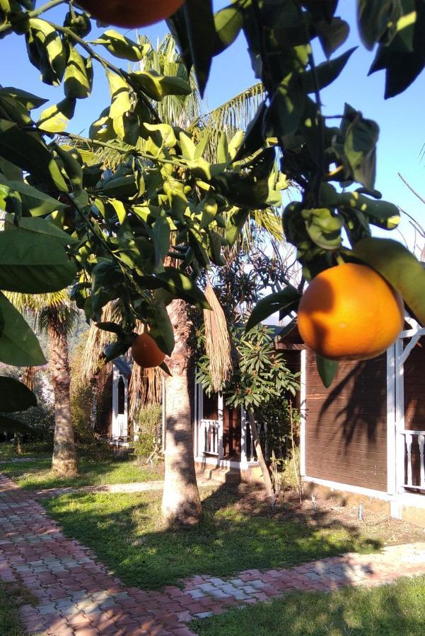 Kervan Pansiyon Çıralı Extérieur photo
